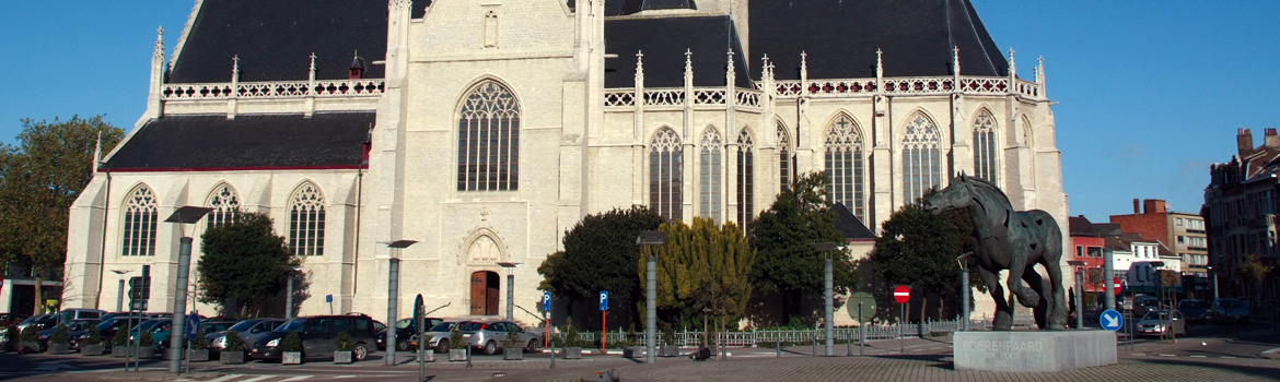 Entreprise en toiture dans le Brabant Flamand